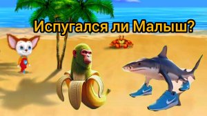 Барбоскины, тралалейло тралала и шимпанзини банананини на отдыхе