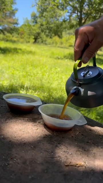 Sećanja na leto/ Воспоминания о лете #serbia #nature #hiking #forestadventures #сербия смотреть онлайн