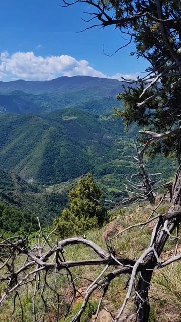 Маглич. Столови.Сербия #travel #naturewalk #hiking #nature #mountains #поход #flowers #naturetherapy смотреть онлайн