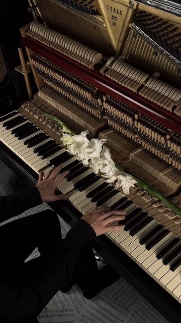 Gladiator #aesthetic #piano #calm смотреть онлайн