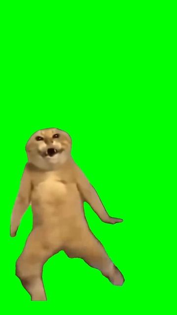 Я буду яттой из за того что шримпо достал