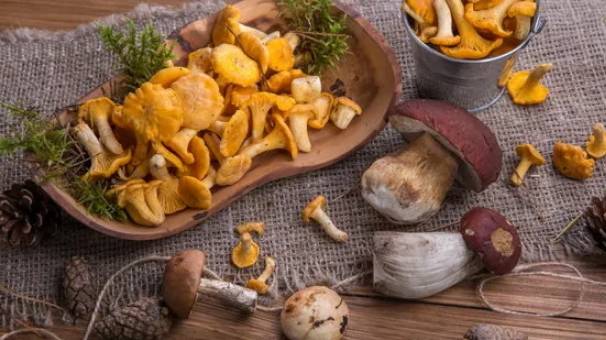 Mushrooms On Your Table.