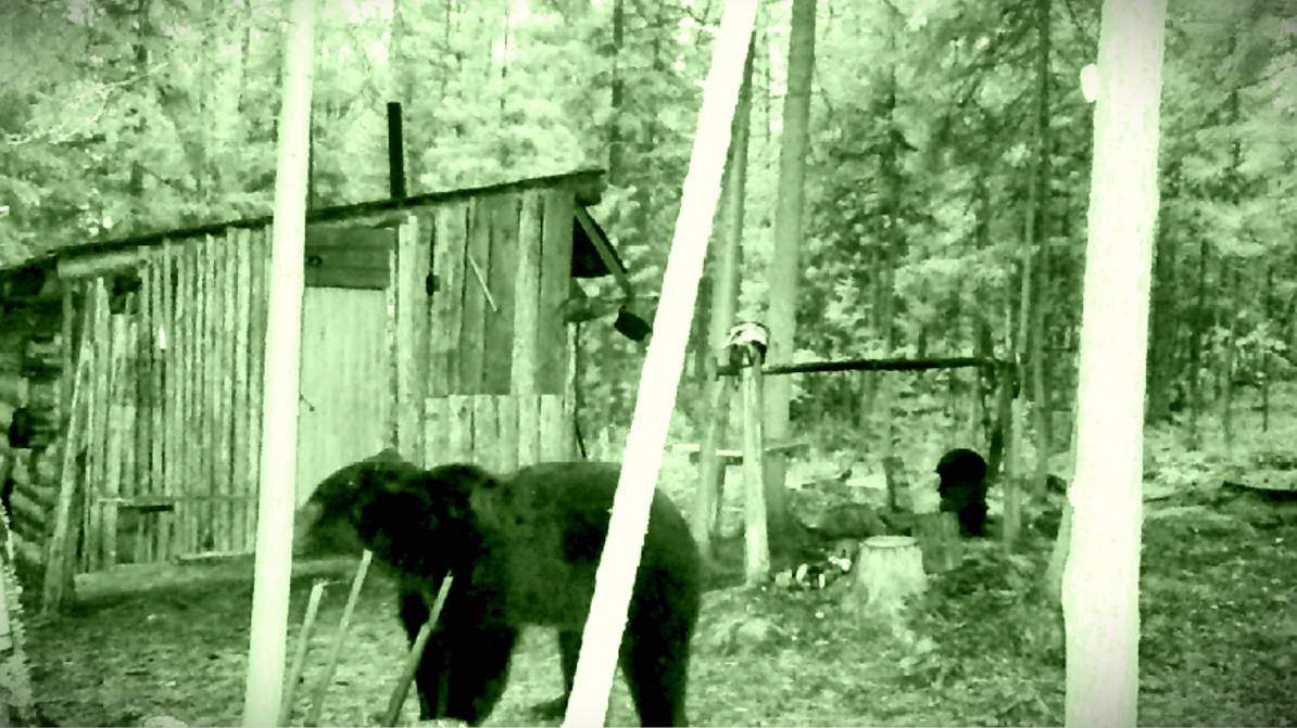 МЕДВЕДИ ХОДЯТ ВОКРУГ ИЗБЫ! СТРОИМ СОЛОНЦЫ, КОТОРЫЕ РАБОТАЮТ. смотреть онлайн