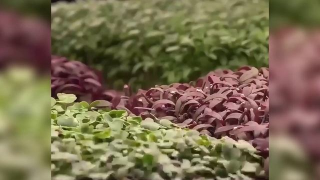 Мне сказали: ТЫ УМРЁШЬ и СЯДЕШЬ В КОЛЯСКУ… Но я запустил бизнес с 5000₽ и победил! смотреть онлайн