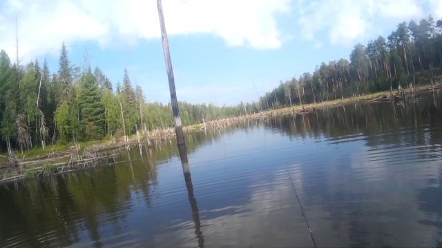 Поклевка щуки на щуку на озере которого больше нет смотреть онлайн