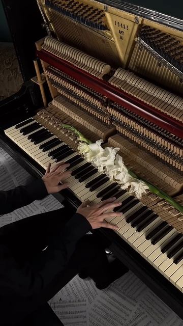 don’t let love fade❤️ #aesthetic #piano #calm смотреть онлайн