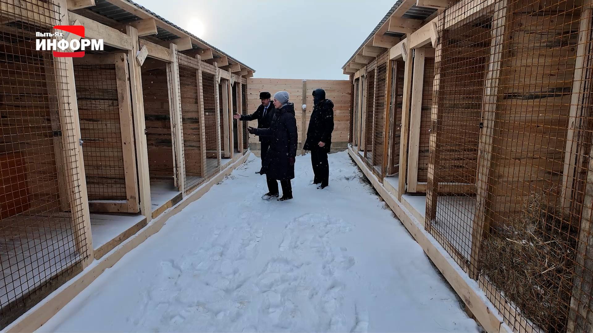 Продолжается обустройство временного муниципального приюта смотреть онлайн