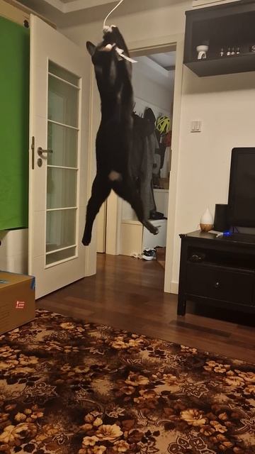 that jump , just wow смотреть онлайн