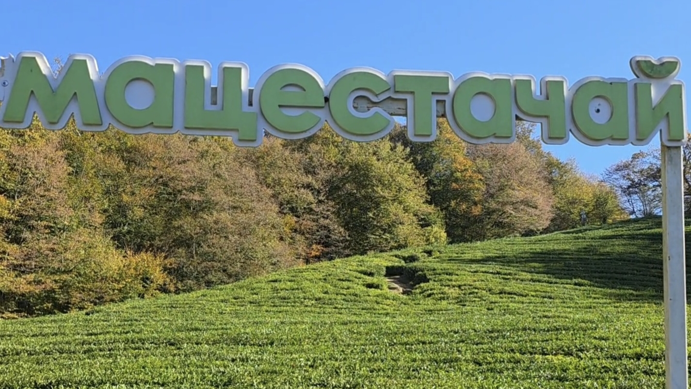 Мацеста чай, Сочи (ноябрь 2025) смотреть онлайн