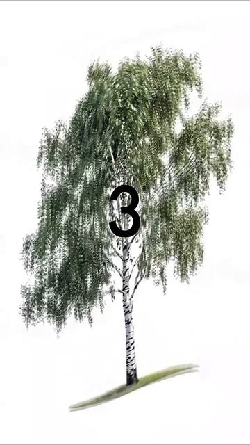 Прививка, Берёзка |Свежие Мемы в Shorts! #nikkat #мем #новости смотреть онлайн