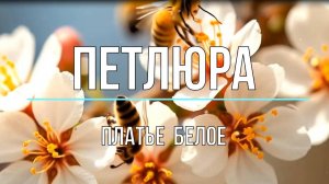 Петлюра Платье Белое