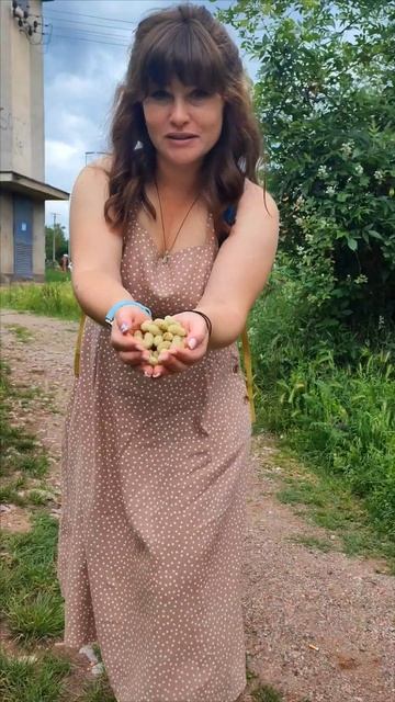 Lavender. Mountains. Mulberry. #hike #outdoor #naturetheraphy #naturewak #srbija #niš #serbia смотреть онлайн