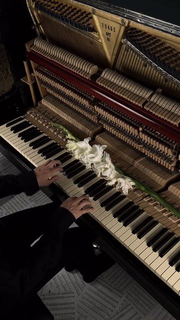 follow your heart❤️ #aesthetic #piano #calm смотреть онлайн