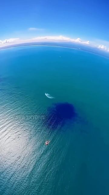 С неба в океан смотреть онлайн