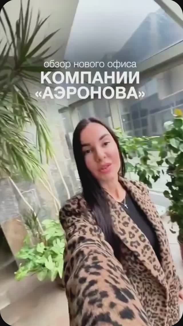 НОВЫЙ ОФИС АЭРОНОВА_ДИРИЖАБЛИ смотреть онлайн
