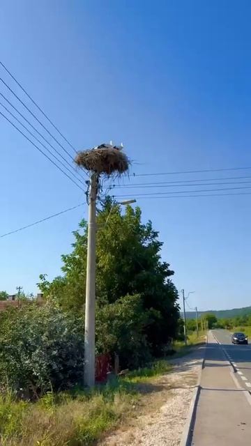 Memories. July #serbia #mountains #hiking #planinarenje #nature #travel смотреть онлайн