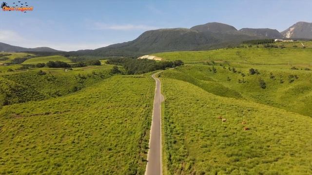 It Hurts – Davvi & Umar Keyn | Retro Disco Emotions ! смотреть онлайн