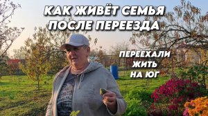 1017 Жизнь семьи после переезда/Обзор нашей покупки/Краснодарский край-это рай