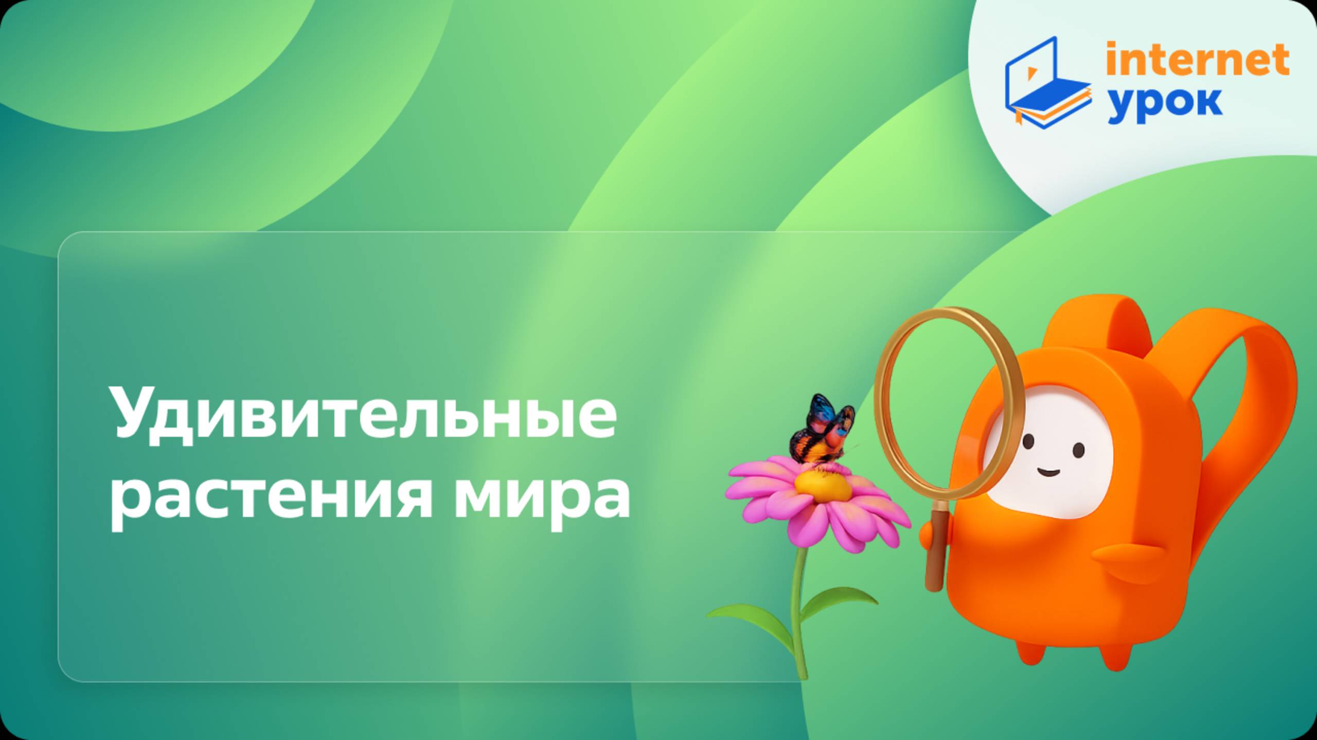 Окружающий мир 1 класс. Удивительные растения смотреть онлайн