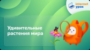 Окружающий мир 1 класс. Удивительные растения