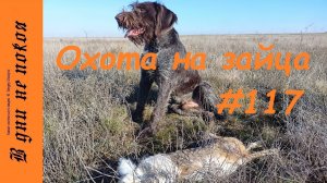 Охота на зайца. Выпуск № 117 18+
