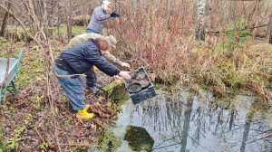 Букет из сухоцветов, нимфеи-утопленницы и письмена природы
