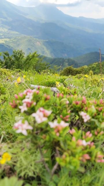 Moment from Hiking on Rzhenac (Serbia) смотреть онлайн