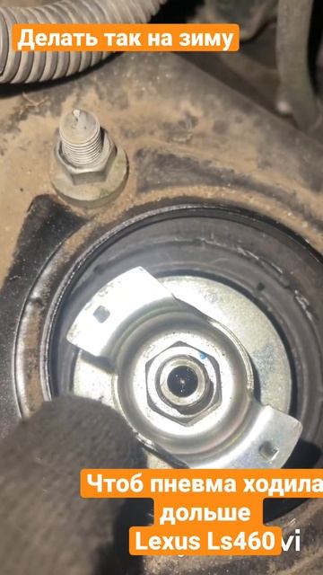 Lexus Ls 460 Делать так на зиму что бы пневмостойки ходили по дольше  #lexus #lexusls460 #toyota