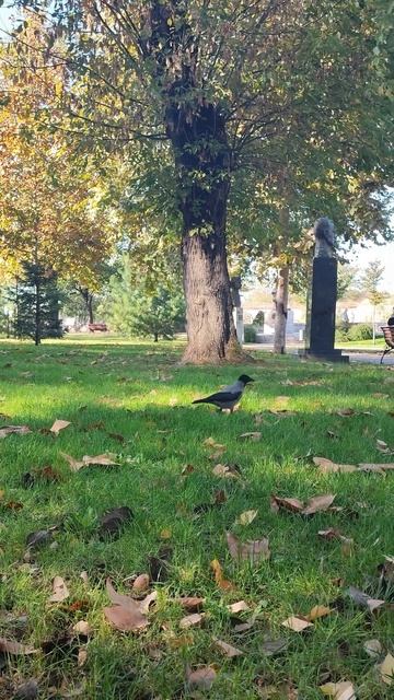 Парк Отель в Нише. Сербия. #архитектура #городскиепрогулки смотреть онлайн