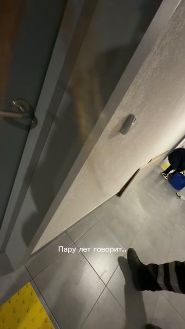 Проверяю подъезд смотреть онлайн