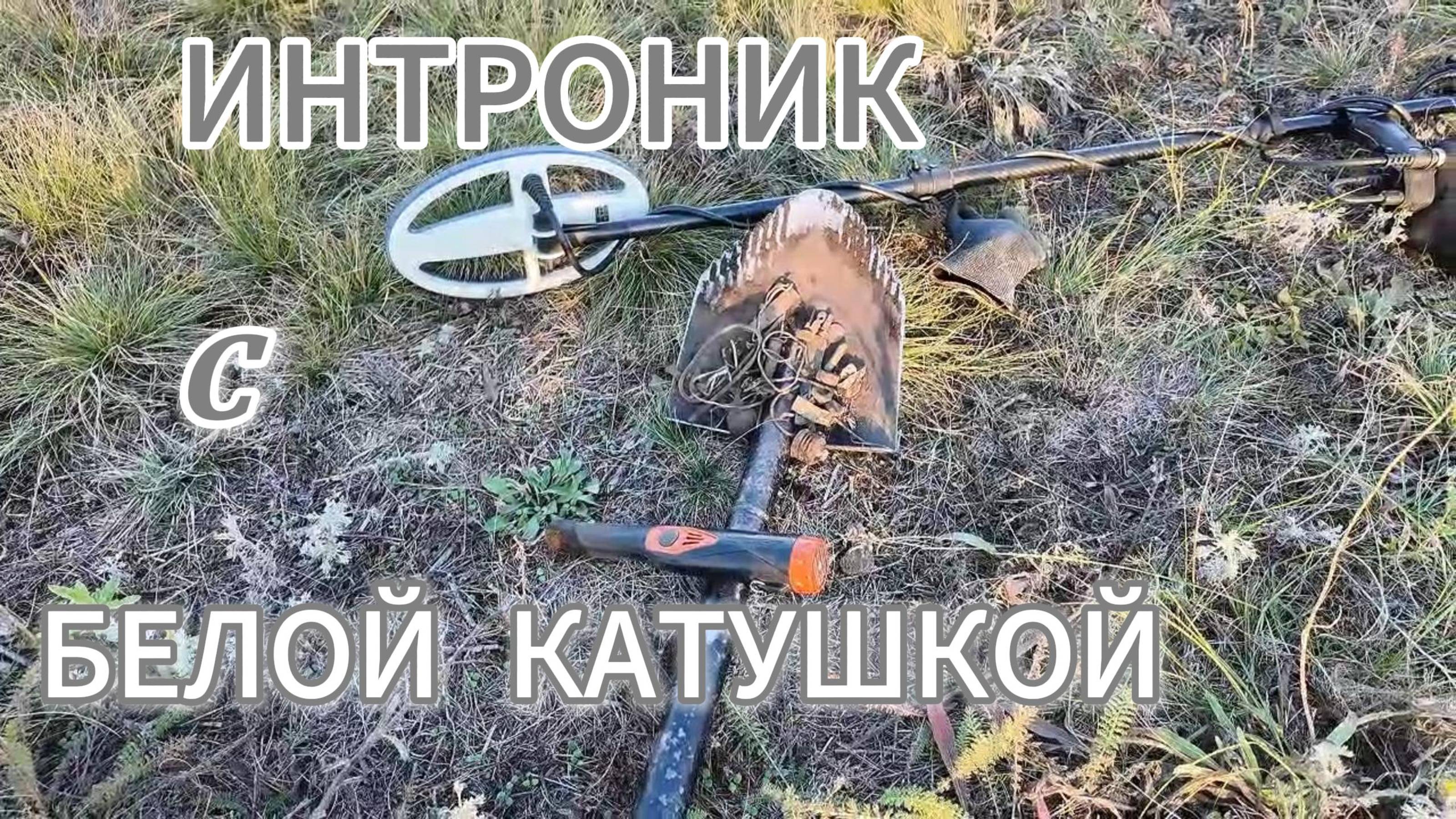 На поляне где закончились монеты.