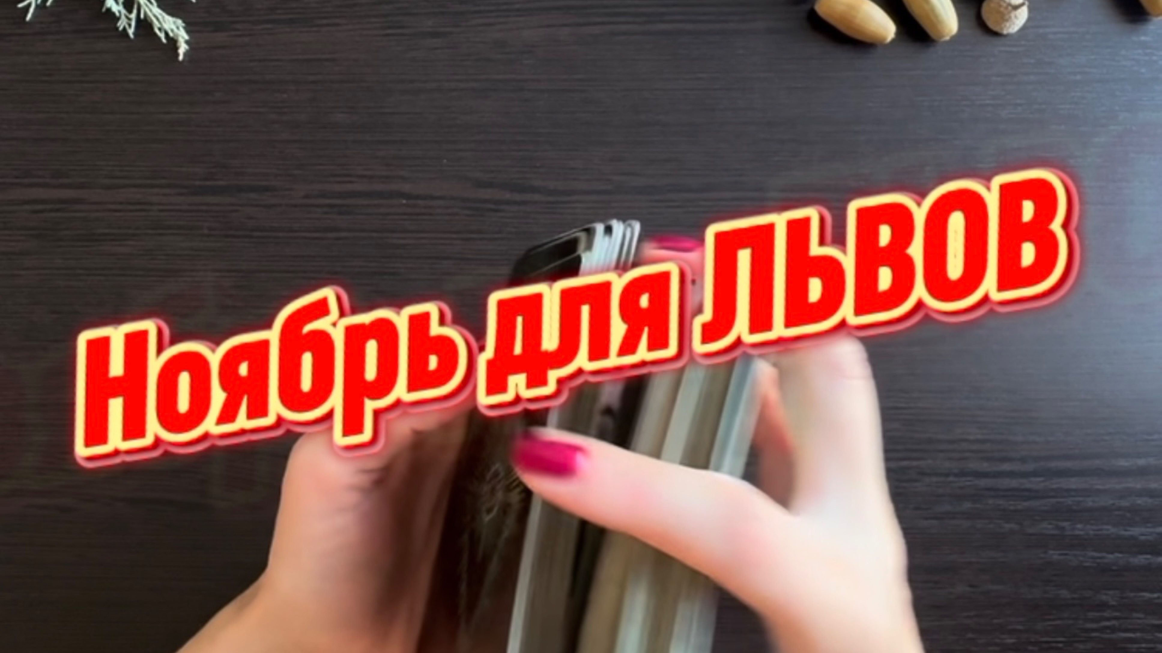 ТАРО прогноз на ноябрь 2025 г для ЛЬВОВ. смотреть онлайн