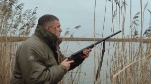 об ОХОТЕ на ВОЛКОВ,охочусь на утку