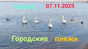 Анапа 07.11.2025 Городские пляжи