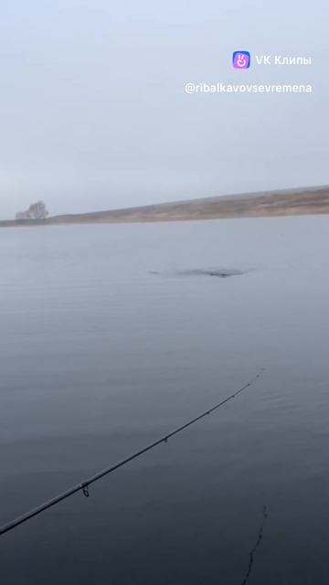 РЫБАЛКА ПОЗДНЕЙ ОСЕНЬЮ 2025 смотреть онлайн