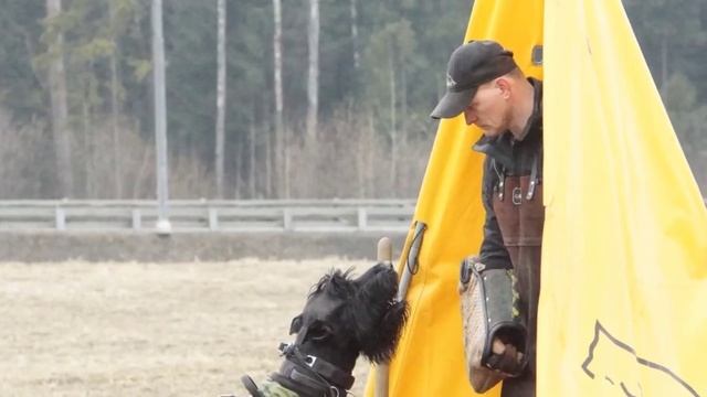 УДП САТЕЛЛИТ(Алабино)