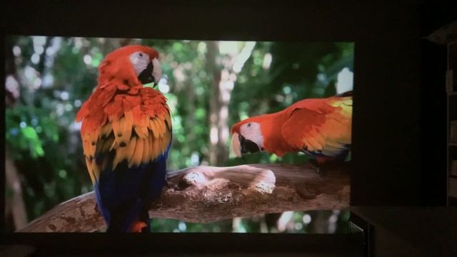 УНИКАЛЬНЫЙ НЕДОРОГОЙ ПРОЕКТОР Vevshao A15