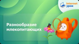 Окружающий мир 1 класс. Разнообразие млекопитающих