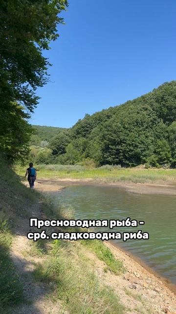 Крайковачко озеро. Сербия. #природа #лучшиеместасербии #горы #изучаемсербию #рекииозера смотреть онлайн