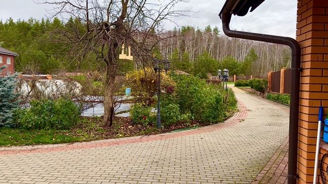 Розы. Завершаем сезон. Что делаю сейчас? Пора укрывать розы. Чем обработать?🌹🌹🌹 смотреть онлайн