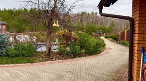 Розы. Завершаем сезон. Что делаю сейчас? Пора укрывать розы. Чем обработать?🌹🌹🌹