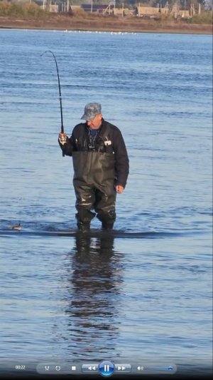 🔥ЖЕРЕХА ПОЙМАЛИ⚡️ на Волге!! Осень-2025