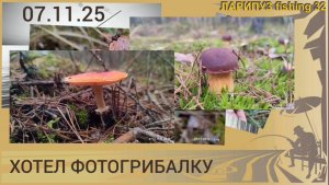 🍄 ПРОГУЛКА, хотели фотогрибалку, г. Брянск, пос. Свень 1.