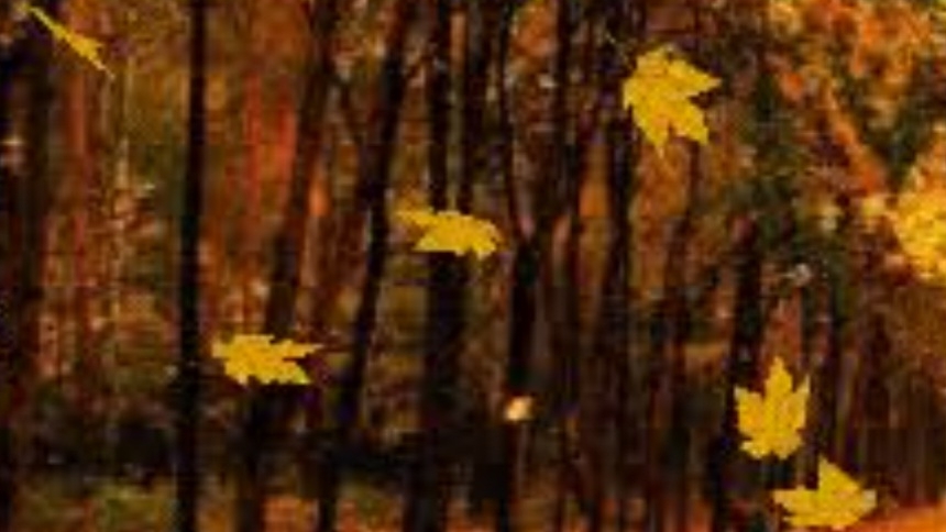 СП Добиваю недовязы 4/2025 Отчёт 38 с Мариной Стоговой