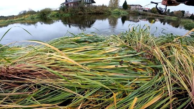 Осенний ультралайт 2024. Польза смены приманок во время рыбалки смотреть онлайн