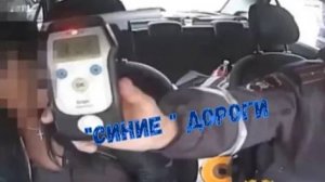 "СИНИЕ" ДОРОГИ\алкашня за рулём губит людей\