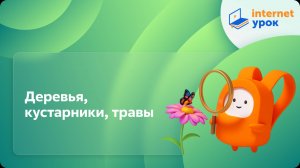 Окружающий мир 1 класс. Деревья, кустарники, травы