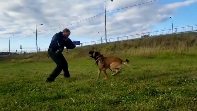 AKIRA vs Leonid Bodnar