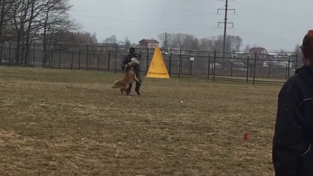 Конкурс фигурантов 2015. Руслан Яворский