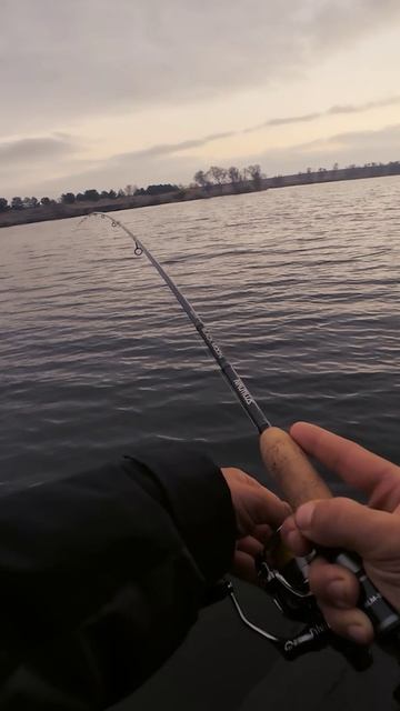 Зацепил крокодила на тонкую снасть смотреть онлайн